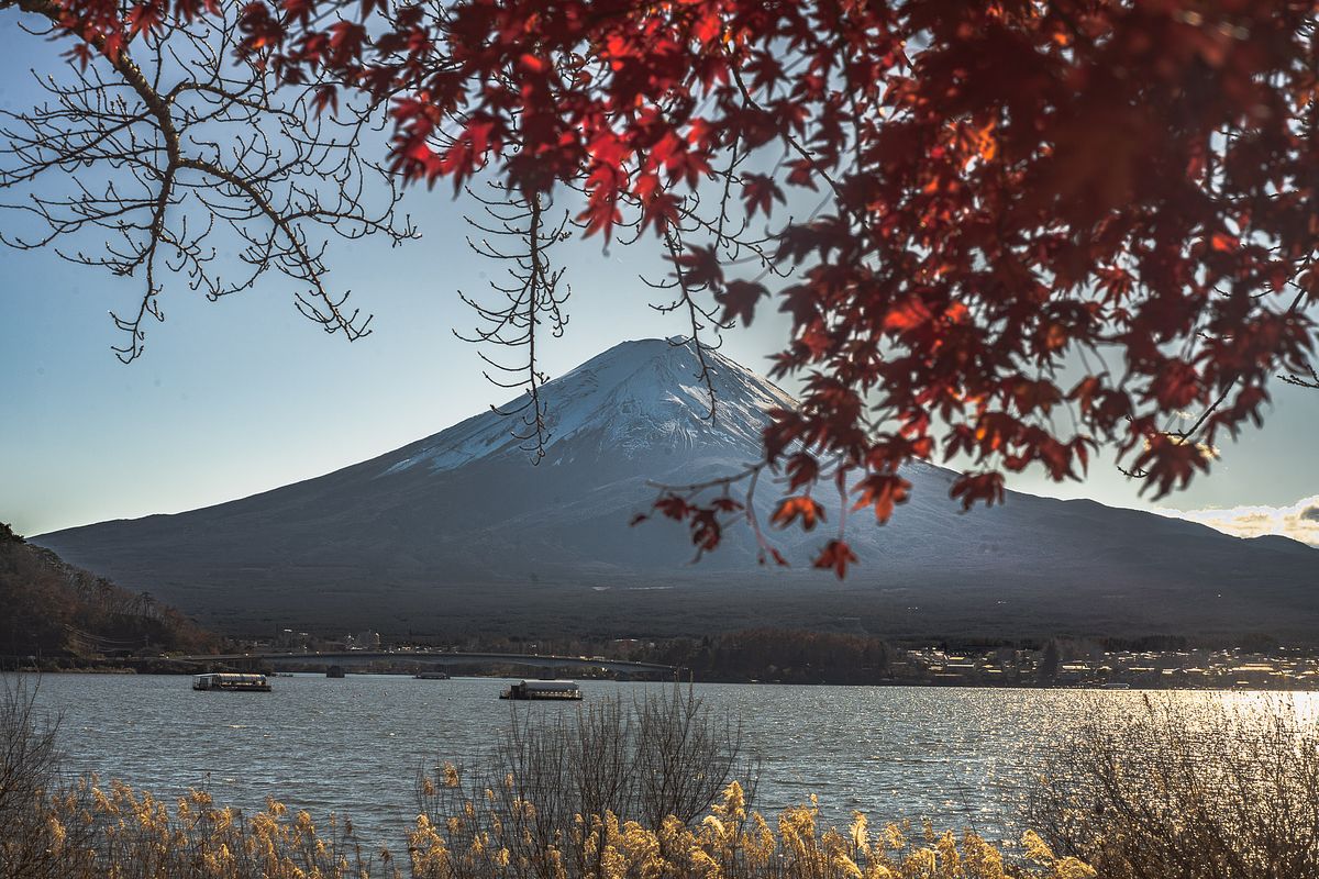 Le Mont Fuji encadr&eacute; par des &eacute;rables rouges au bord du lac