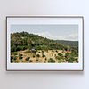 COLLECTION - FROM ABOVE HORIZONTAL - "Roof on the Hill" - LIMITED EDITION 10 of 10