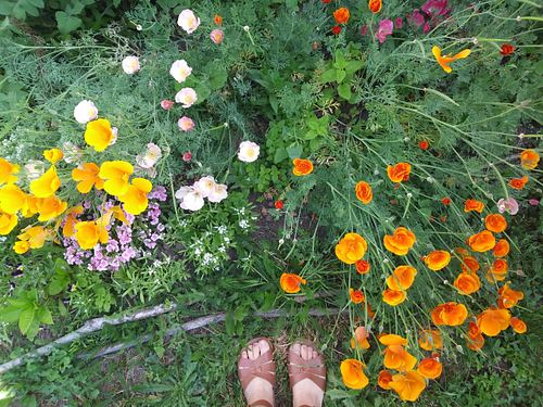 Blog