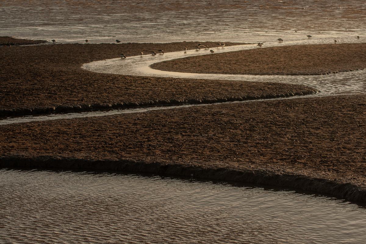 Snettisham Mudflats - Landscape Phtography Norfolk