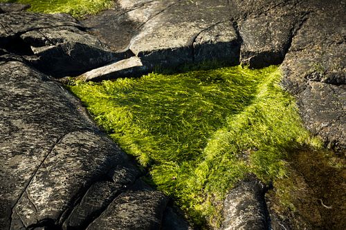 Verdens Ende