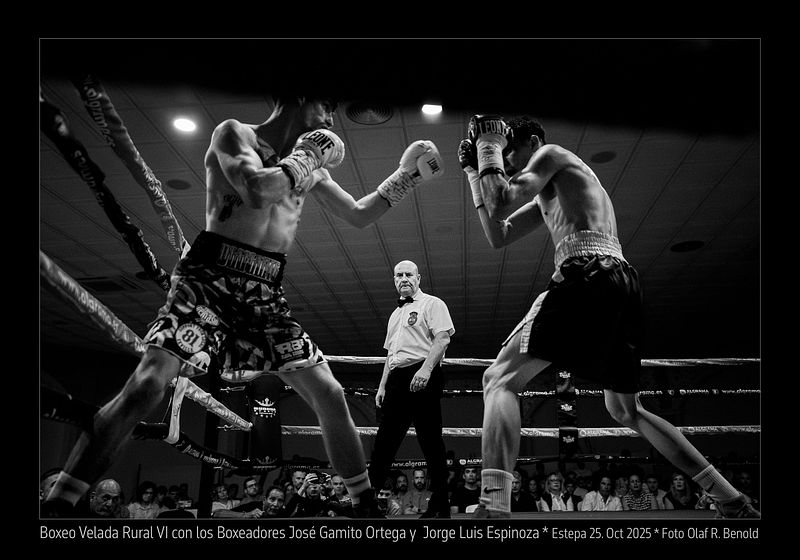 Vive Ama Boxeo
