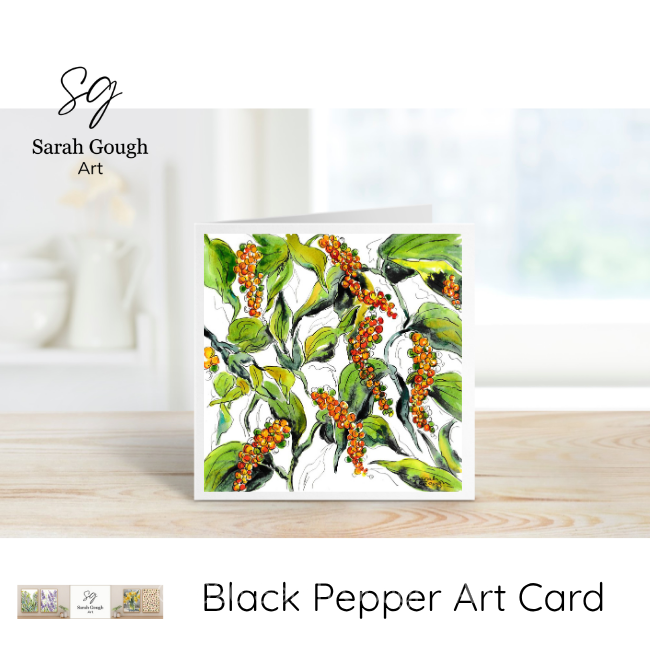 Black Pepper | Botanical Art Card | Watercolour Original Illustration | with Envelope