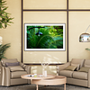 THE ONE - WILDLIFE & NATURE - "Lost in the Canopy" - LIMITED EDITION 5 of 5