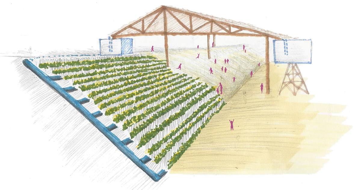 sustainable maloca renewable energy community architecture amazon