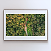 COLLECTION - FROM ABOVE HORIZONTAL - "The Forest Track" - LIMITED EDITION 10 of 10