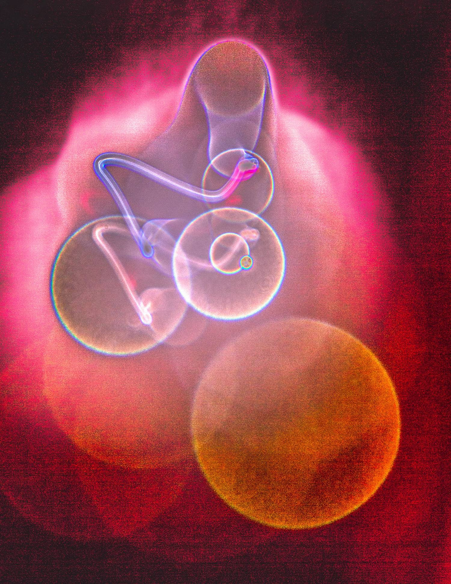 Lance Moore FIne Art Painting, Drawing, Photography