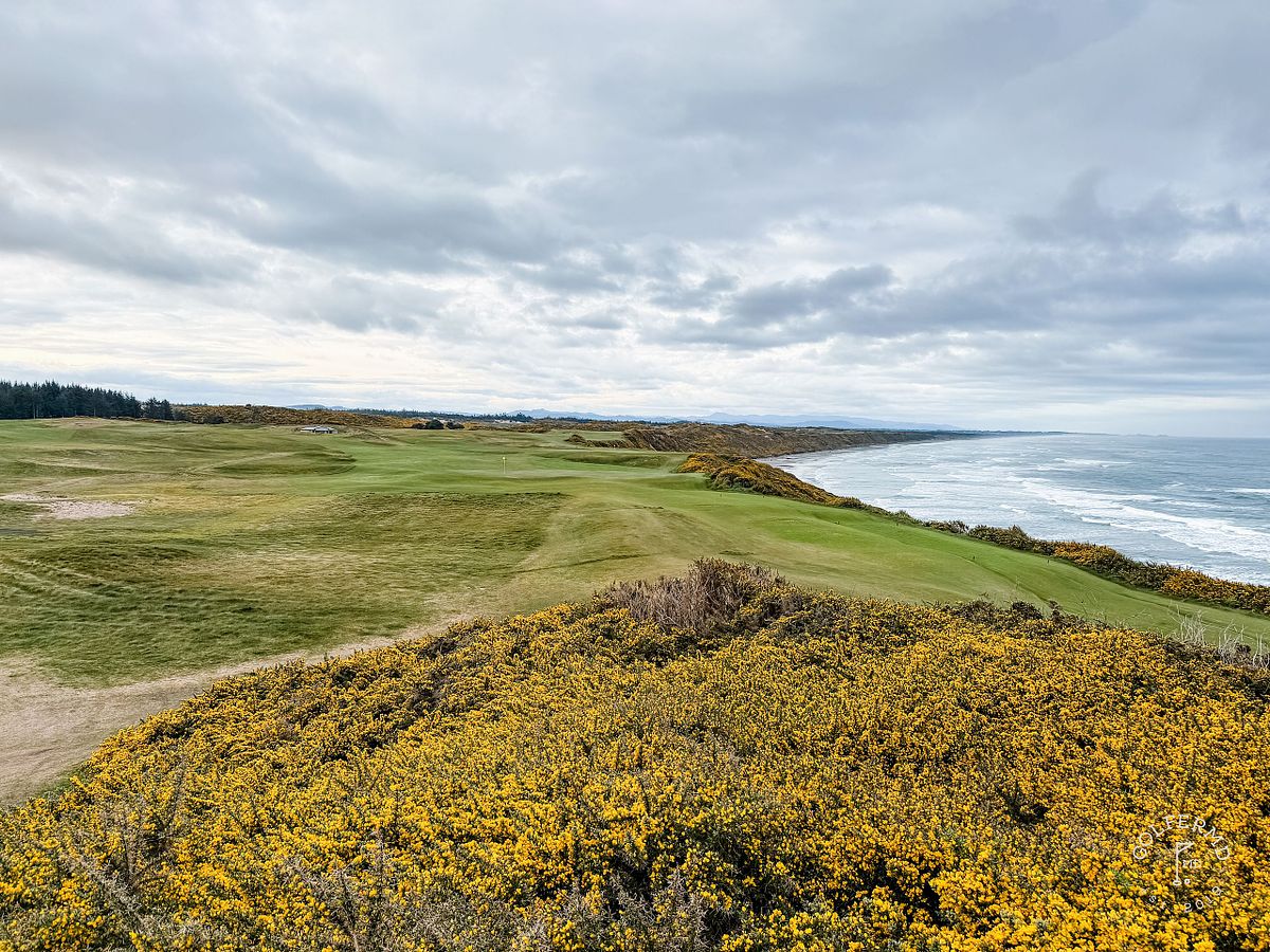 #11 Sheep Ranch