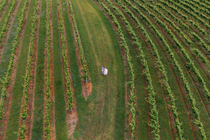 Bimbadgen Palmers Lane Hunter Valley: Your Dream Vineyard Wedding