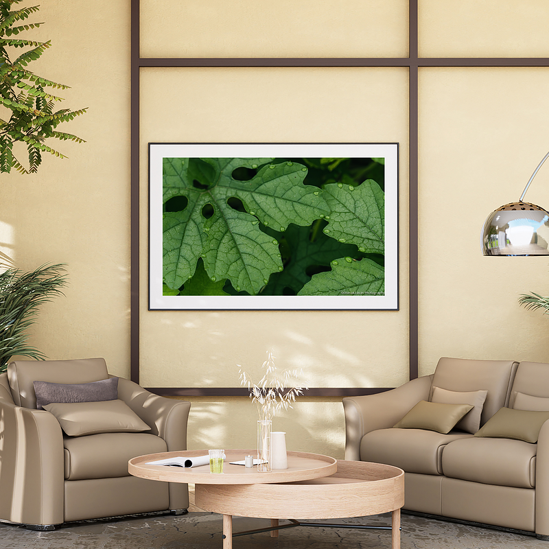 THE ONE - WILDLIFE & NATURE - "Green Shape" - LIMITED EDITION 5 of 5