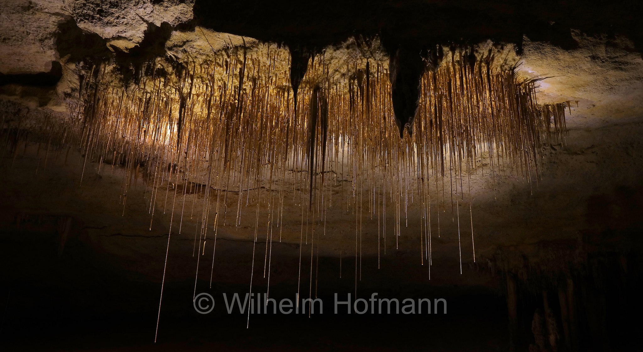 Needle-Like Stalactites, Alexandra Cave, Naracoorte Caves National Park, Naracoorte-Caves-Nationalpark, Parco nazionale delle grotte di Naracoorte, South Australia, Südaustralien, Australia Meridionale, Australia, Australien