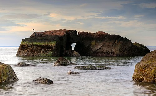 Heron on offshore rocks in tranquil sea.