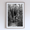 COLLECTION - GIANTS OF THE LAND VERTICAL - "The Back End" - LIMITED EDITION 10 of 10