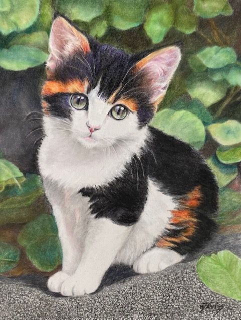 Helen Davies