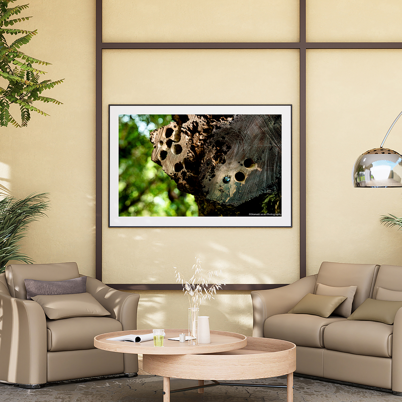 THE ONE - WILDLIFE & NATURE - "Still Home'' - LIMITED EDITION 4 of 5
