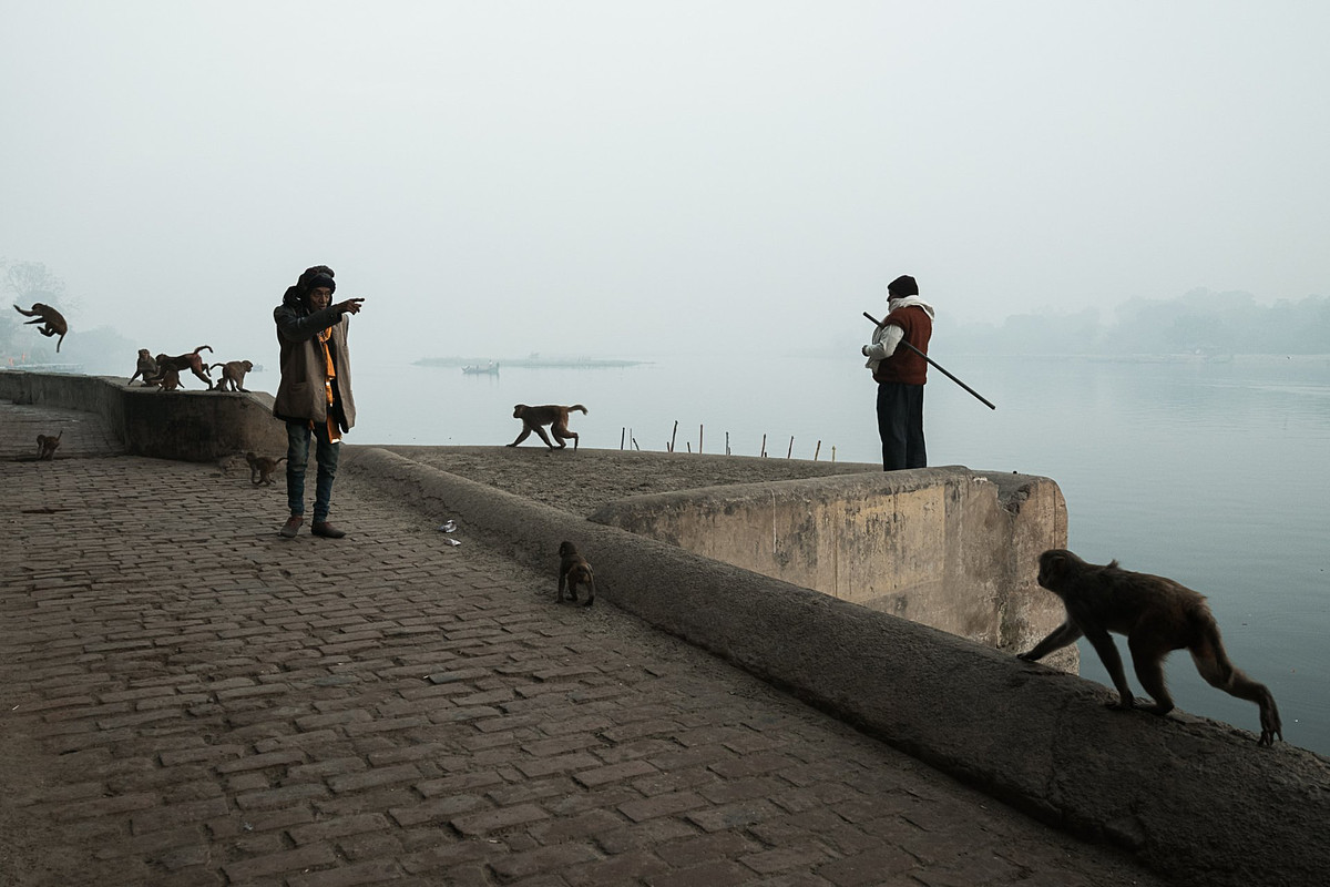 Diagonal In Composition