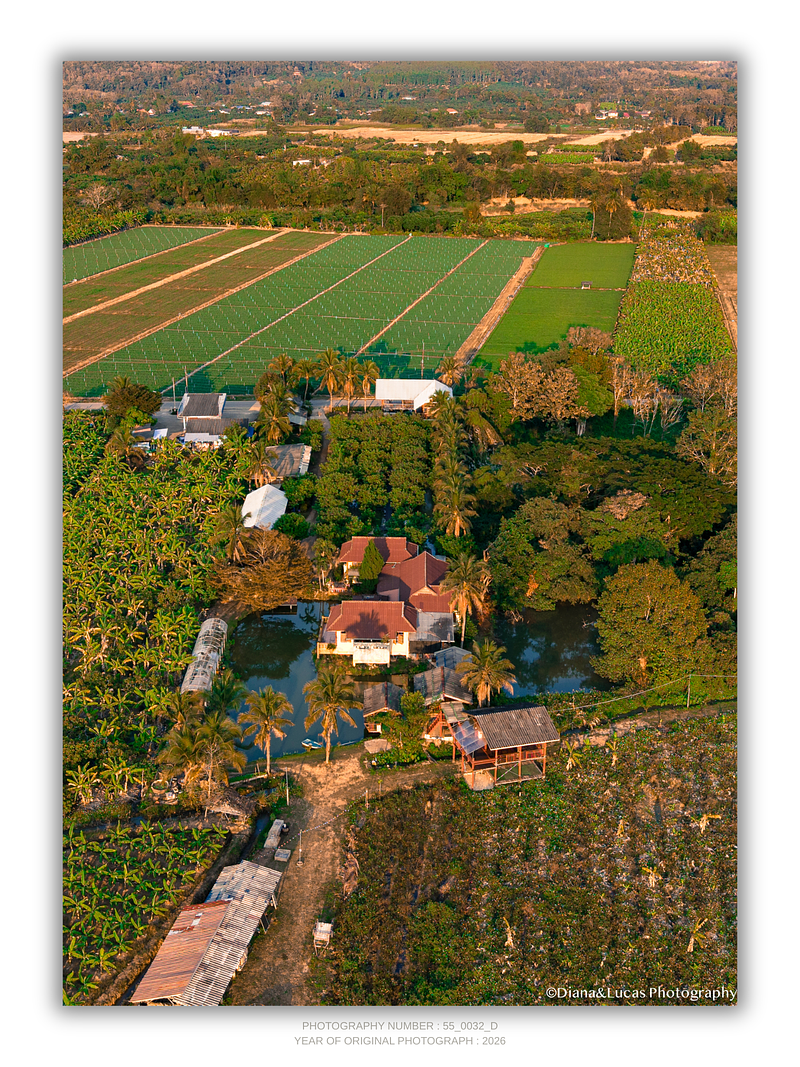 COLLECTION - FROM ABOVE VERTICAL - "The Farm Between Fields" - LIMITED EDITION 10 of 10