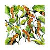 Black Pepper Plant | Botanical Art Print
