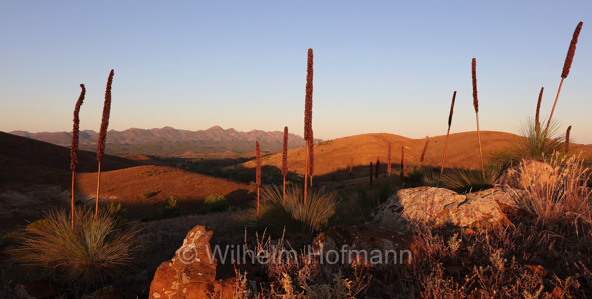 Hucks Lookout, Ikara–Flinders Ranges National Park, Ikara-Flinderskette-Nationalpark, parco nazionale Monti Flinders, South Australia, Südaustralien, Australia Meridionale, Australia, Australien