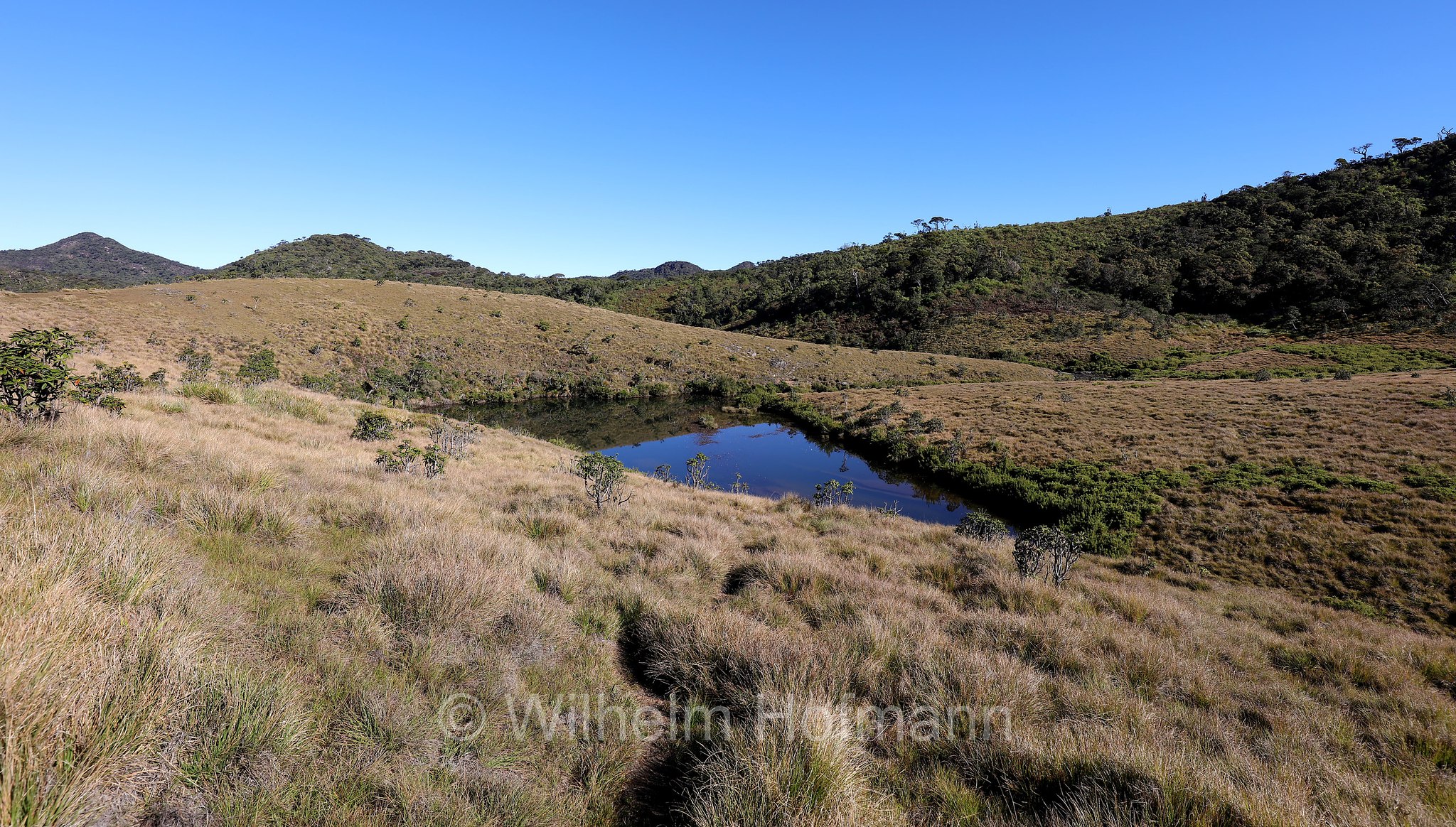 Horton Plains National Park, Horton-Plains-Nationalpark, parco nazionale Horton Plains, Sri Lanka