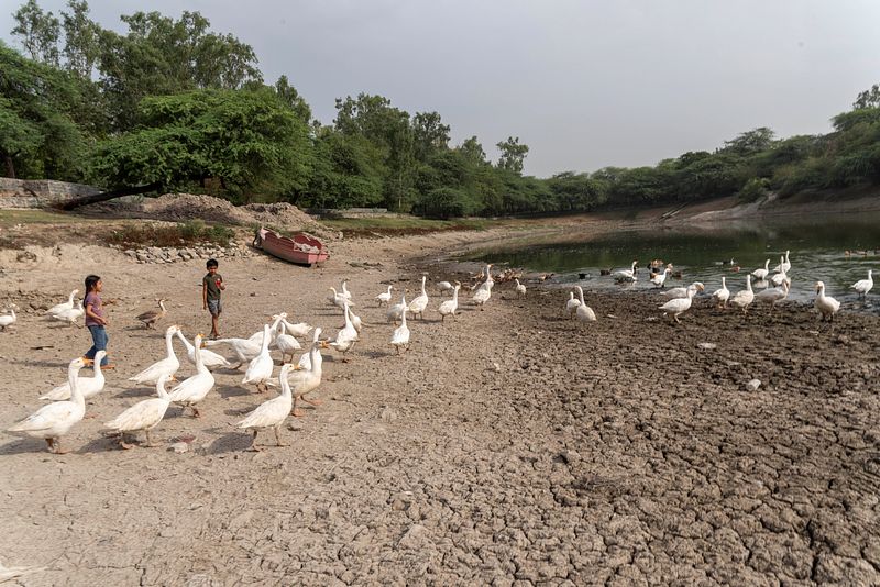 Heatwave impact at Sanjay Lake