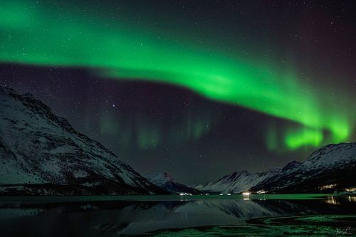 Aurora Wirbel am Ullsfjord