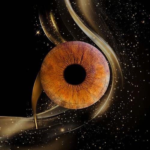 S&eacute;ance Iris