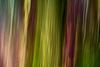 Abstracte natuurfotografie (4 juli 2026)