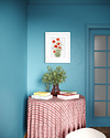 Field Poppy Fine Art Print
