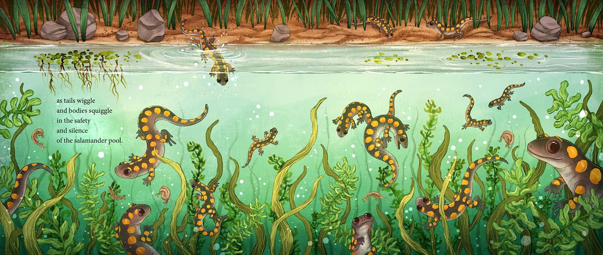 9781668945094_Salamander Song_Interior_R0-images-17