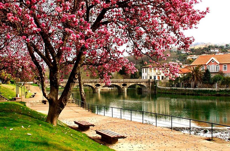 Primavera pt2b (addendum)