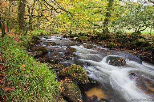 Golitha Falls