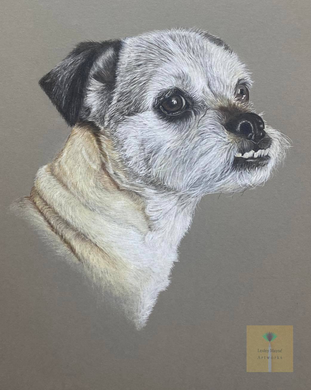 Puggle pet portrait, puggle drawing, Puggle portrait