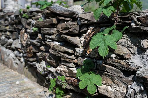 Im Dorf Biegno