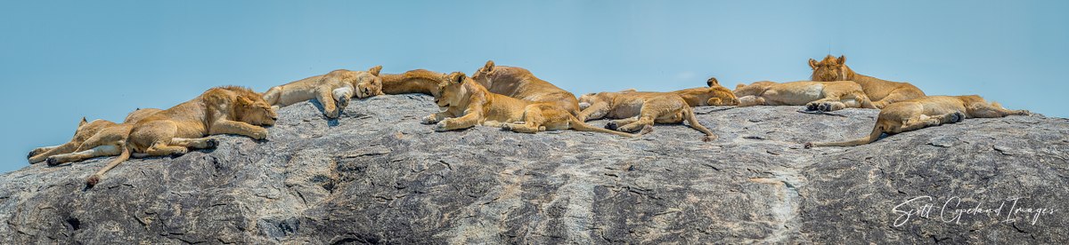 Mawe na Simba