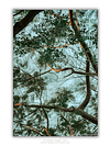 THE ONE - LINES & SHAPES - "The Canopy Ceiling" - LIMITED EDITION 5 of 5