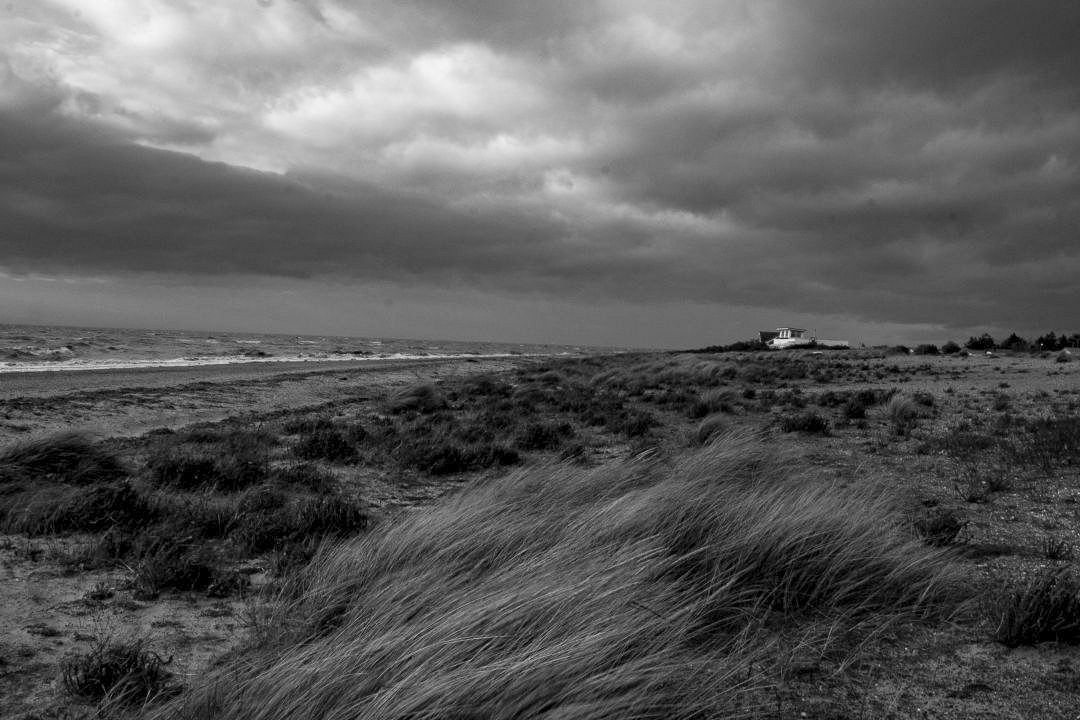 Landscape Photography Marram grass and coastal dunes at Snettisham on the Norfolk coast beneath a dramatic cloudy sky.