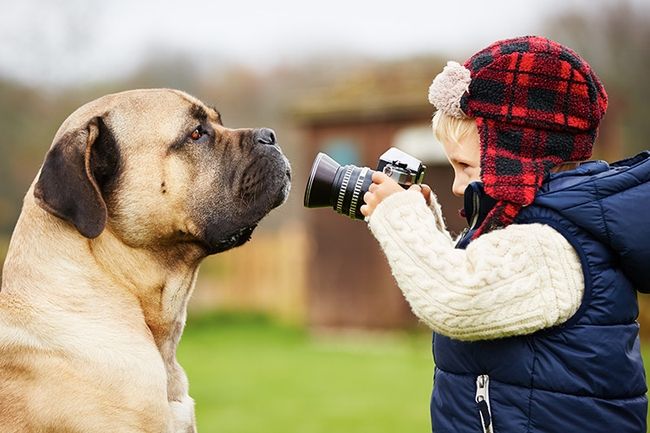 Фотосъемка домашних животных