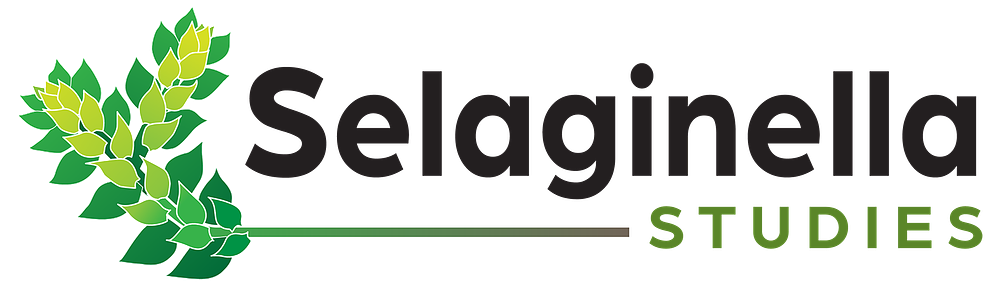 Selaginella