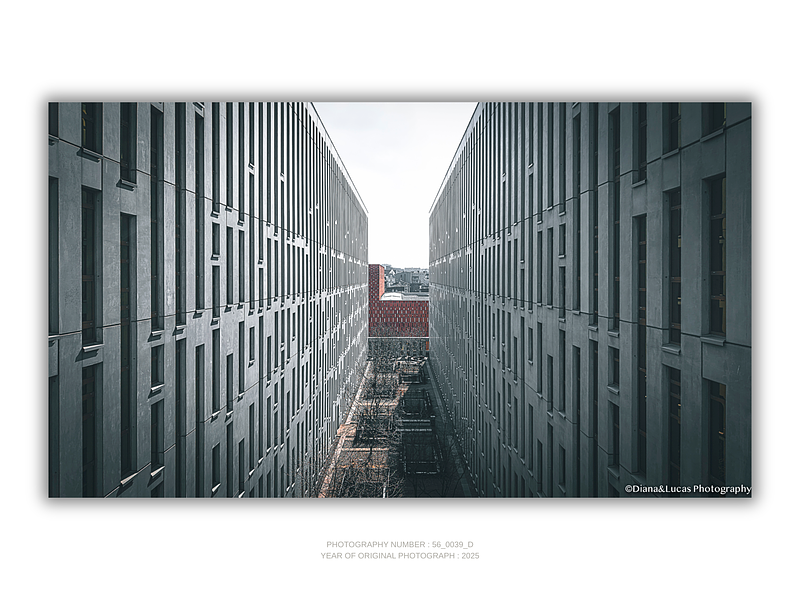COLLECTION - URBAN GEOMETRY HORIZONTAL - "Urban Canyon" - LIMITED EDITION 10 of 10