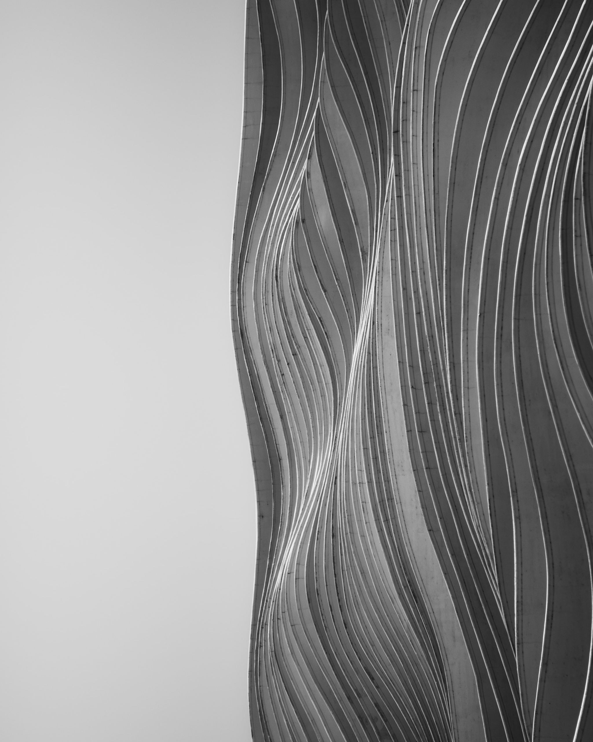 Muscle Fibers