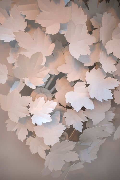 Détail d’un lustre aux feuilles en métal blanc dans un appartement haussmannien sur les Champs-Élysées, Paris. Photographie d’architecture intérieure par Nicolas Karadimos.