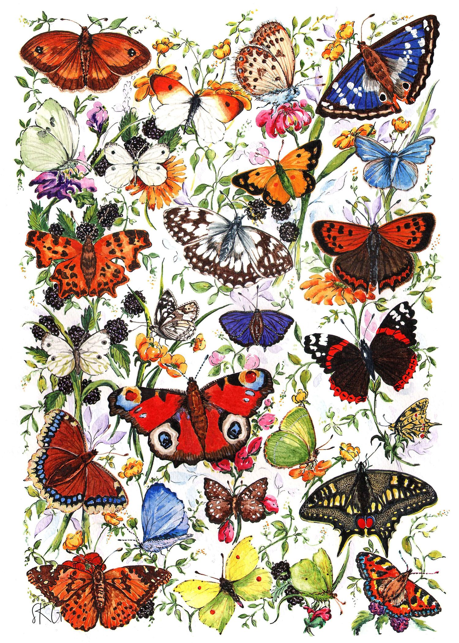 Sarah Gough | Art