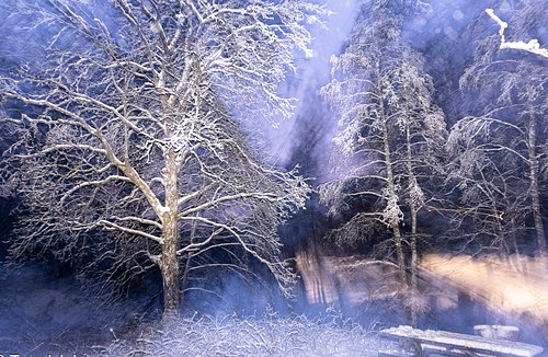 Kontrastene i naturen, tiden og lys.