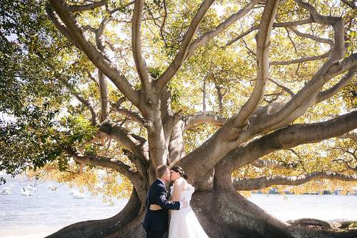 The Serenity of Park & Garden Vows