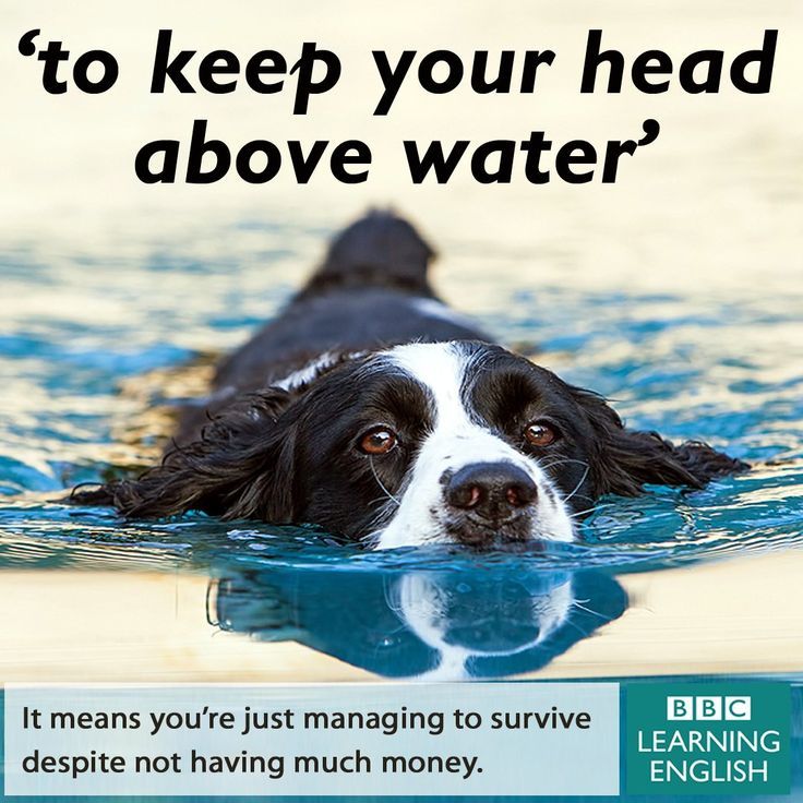 BBC