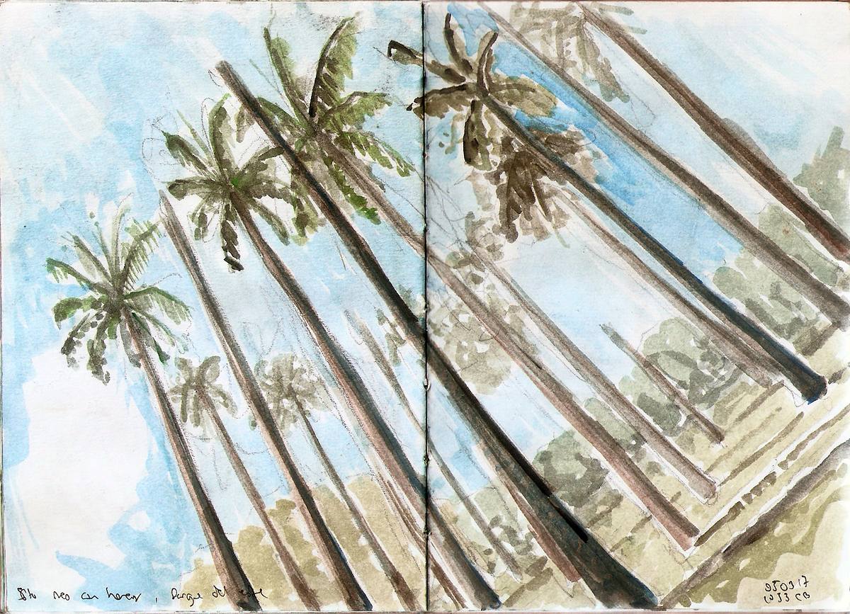 watercolor palm trees tropical landscape sketch