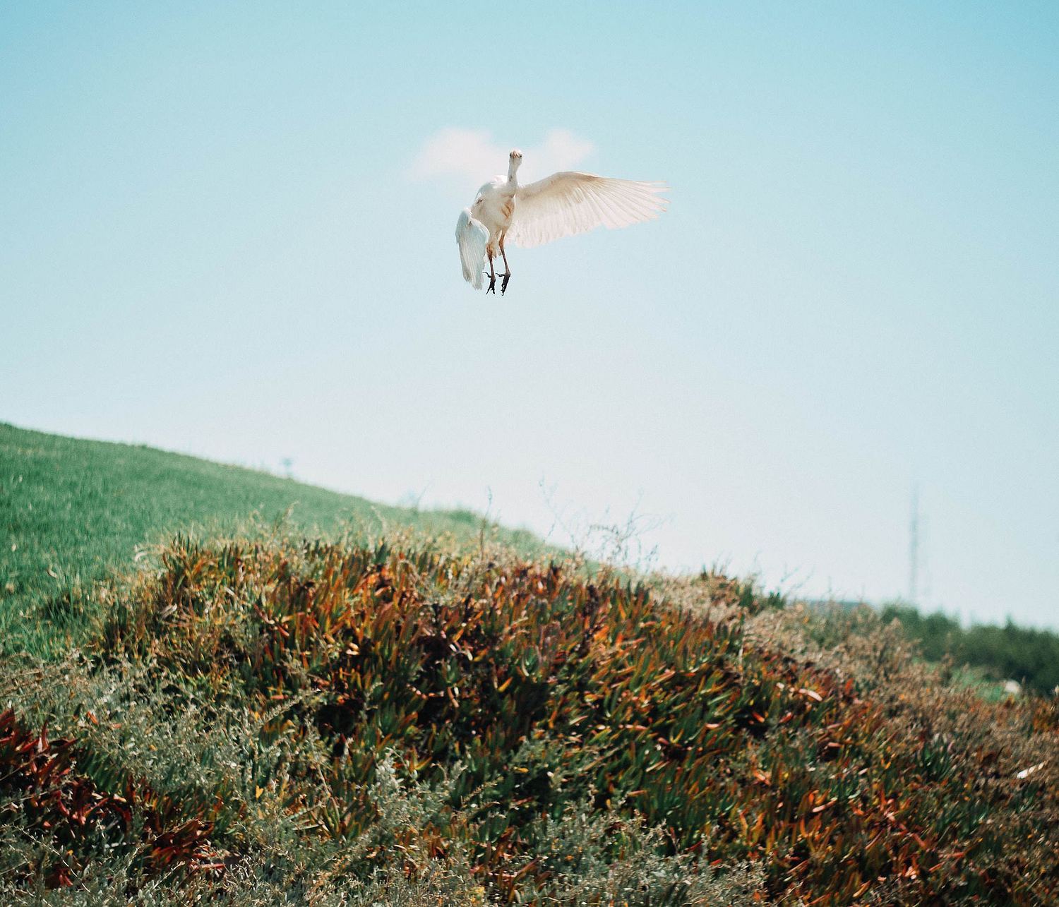 Joseph Reisner Photography
