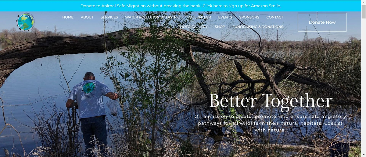 site sem fins lucrativos da Animal Safe Migration