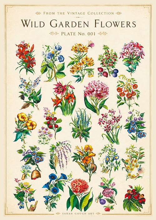Vintage botanical poster showing a collection of colourful watercolour wildflowers arranged neatly in rows on an aged cream background.